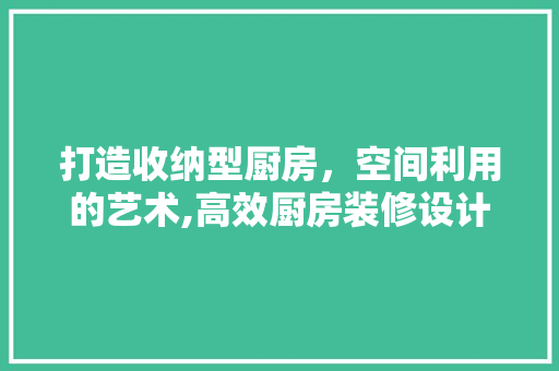打造收纳型厨房，空间利用的艺术,高效厨房装修设计之路