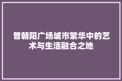 曾朝阳广场城市繁华中的艺术与生活融合之地