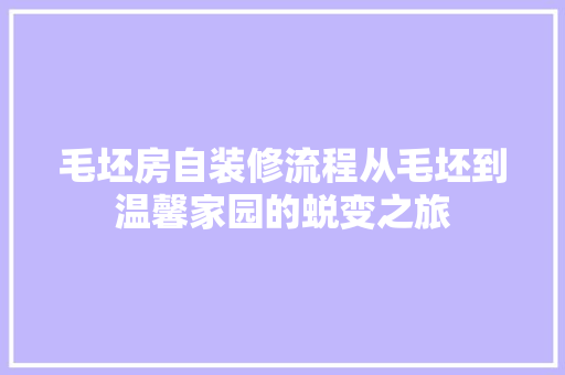 毛坯房自装修流程从毛坯到温馨家园的蜕变之旅