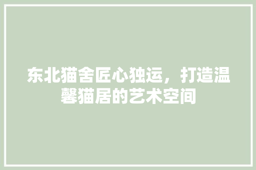 东北猫舍匠心独运，打造温馨猫居的艺术空间