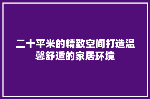 二十平米的精致空间打造温馨舒适的家居环境