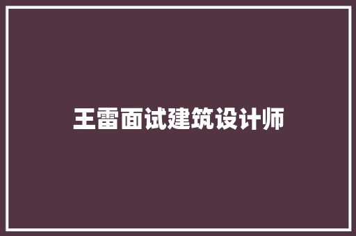 王雷面试建筑设计师 施工工艺