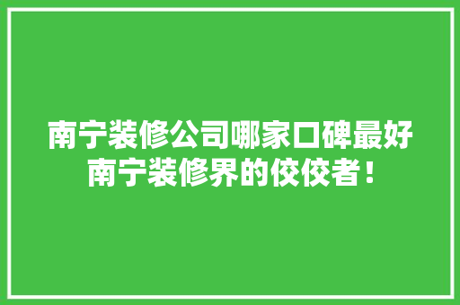 南宁装修公司哪家口碑最好南宁装修界的佼佼者！
