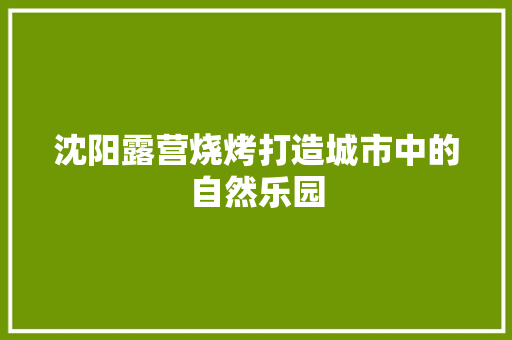 沈阳露营烧烤打造城市中的自然乐园