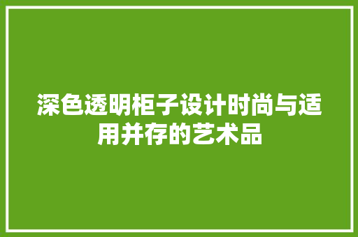 深色透明柜子设计时尚与适用并存的艺术品