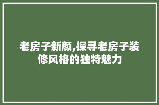 老房子新颜,探寻老房子装修风格的独特魅力