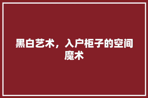 黑白艺术，入户柜子的空间魔术