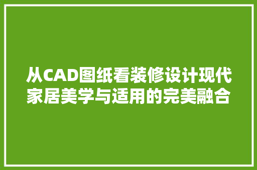 从CAD图纸看装修设计现代家居美学与适用的完美融合 施工工艺