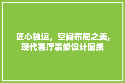 匠心独运，空间布局之美,现代客厅装修设计图纸