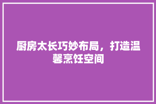 厨房太长巧妙布局，打造温馨烹饪空间 施工技术