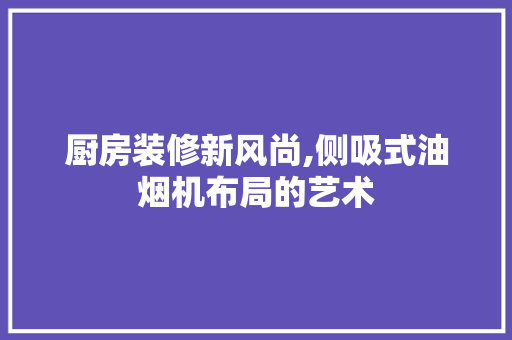 厨房装修新风尚,侧吸式油烟机布局的艺术 施工工艺