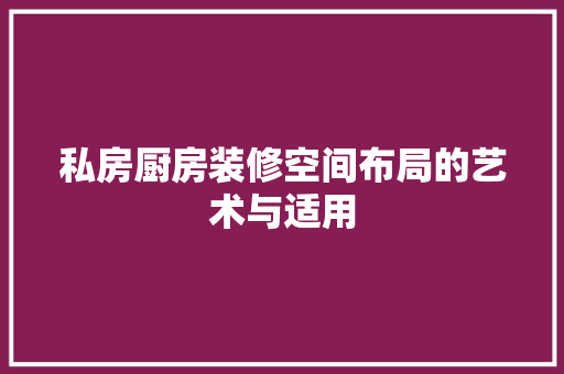 私房厨房装修空间布局的艺术与适用