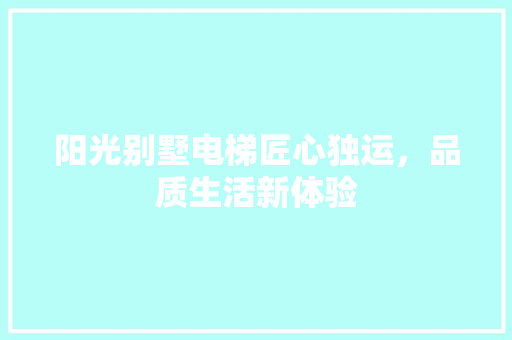 阳光别墅电梯匠心独运，品质生活新体验 施工技术