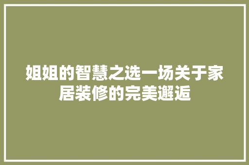 姐姐的智慧之选一场关于家居装修的完美邂逅
