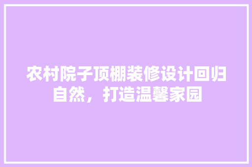 农村院子顶棚装修设计回归自然，打造温馨家园 公共建筑设计