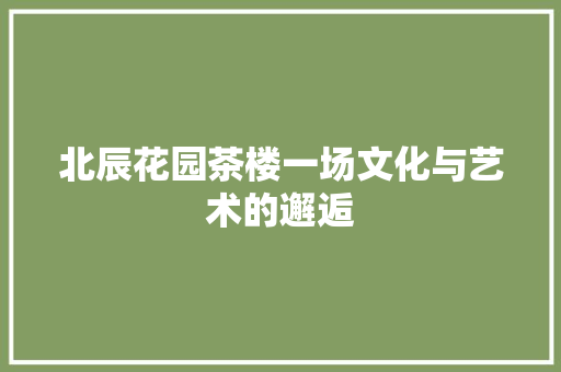 北辰花园茶楼一场文化与艺术的邂逅