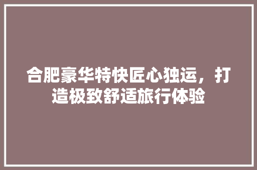 合肥豪华特快匠心独运，打造极致舒适旅行体验