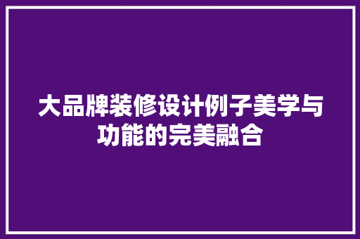 大品牌装修设计例子美学与功能的完美融合