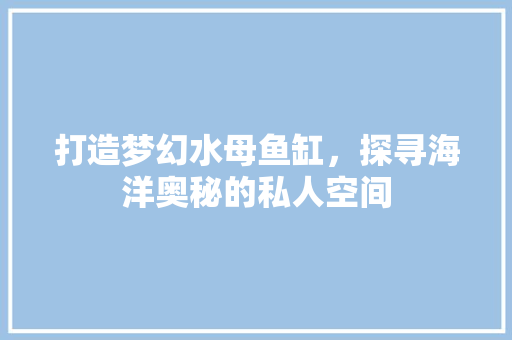 打造梦幻水母鱼缸，探寻海洋奥秘的私人空间