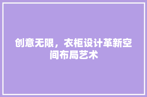 创意无限，衣柜设计革新空间布局艺术