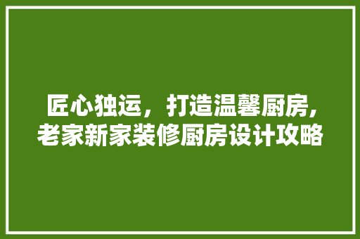 匠心独运，打造温馨厨房,老家新家装修厨房设计攻略