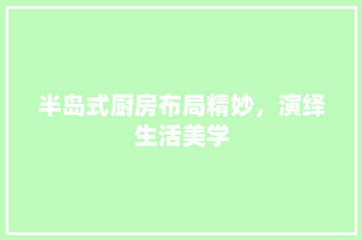 半岛式厨房布局精妙，演绎生活美学