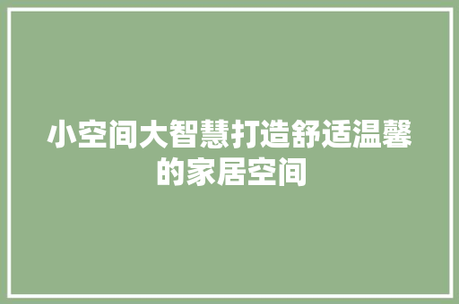小空间大智慧打造舒适温馨的家居空间