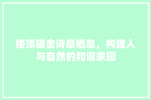 楼顶猫舍诗意栖息，构建人与自然的和谐家园 材料设备