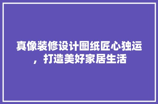真像装修设计图纸匠心独运，打造美好家居生活 常见问题