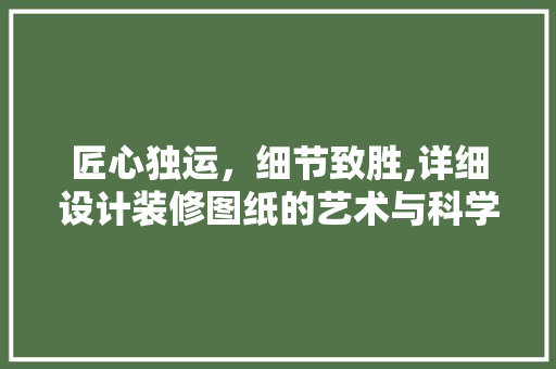 匠心独运，细节致胜,详细设计装修图纸的艺术与科学