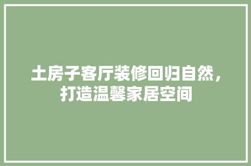 土房子客厅装修回归自然，打造温馨家居空间