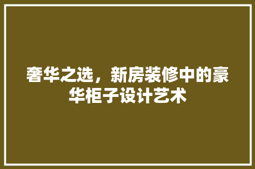 奢华之选，新房装修中的豪华柜子设计艺术