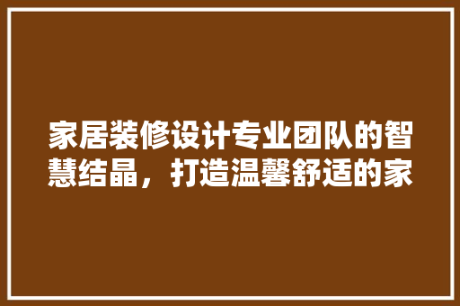 家居装修设计专业团队的智慧结晶，打造温馨舒适的家