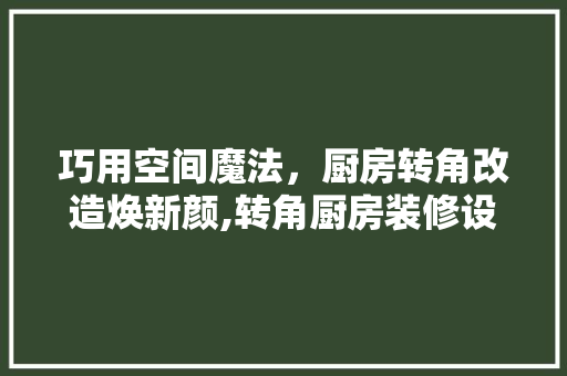 巧用空间魔法，厨房转角改造焕新颜,转角厨房装修设计之路