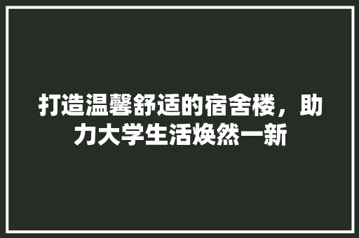 打造温馨舒适的宿舍楼，助力大学生活焕然一新