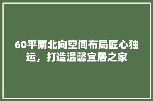 60平南北向空间布局匠心独运，打造温馨宜居之家 施工技术