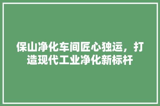 保山净化车间匠心独运，打造现代工业净化新标杆