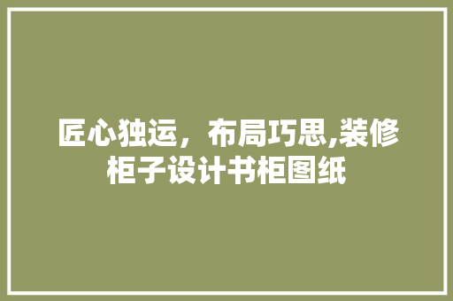 匠心独运，布局巧思,装修柜子设计书柜图纸