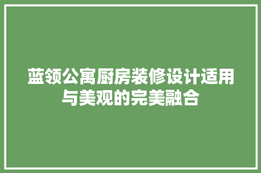 蓝领公寓厨房装修设计适用与美观的完美融合