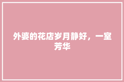 外婆的花店岁月静好，一室芳华