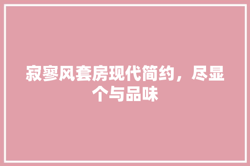 寂寥风套房现代简约，尽显个与品味