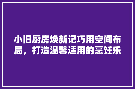小旧厨房焕新记巧用空间布局，打造温馨适用的烹饪乐园 住宅建筑设计