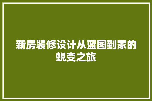 新房装修设计从蓝图到家的蜕变之旅 工艺流程