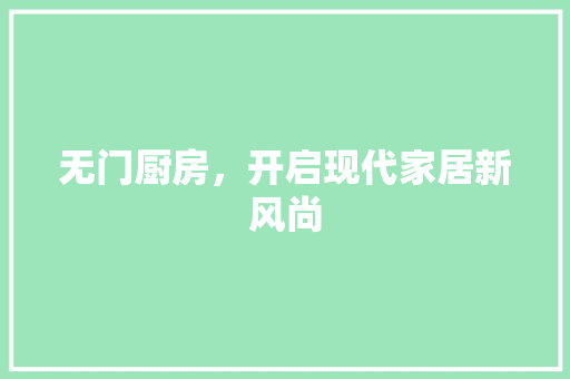 无门厨房，开启现代家居新风尚