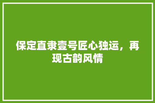 保定直隶壹号匠心独运，再现古韵风情