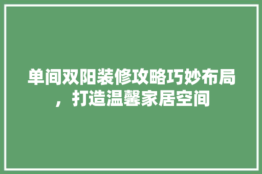 单间双阳装修攻略巧妙布局，打造温馨家居空间