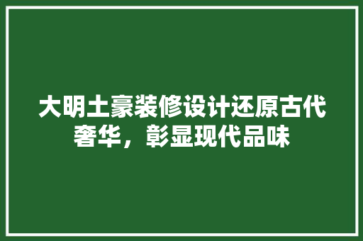 大明土豪装修设计还原古代奢华，彰显现代品味