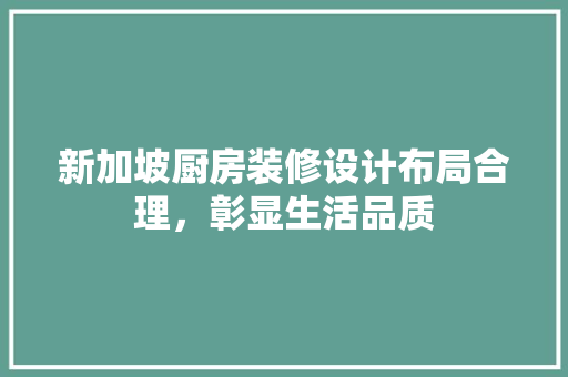 新加坡厨房装修设计布局合理，彰显生活品质