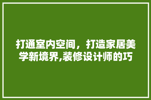 打通室内空间，打造家居美学新境界,装修设计师的巧思与智慧