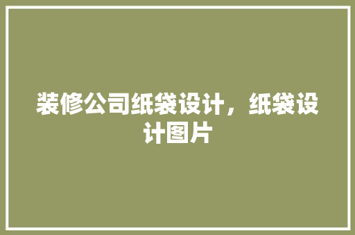 装修公司纸袋设计，纸袋设计图片